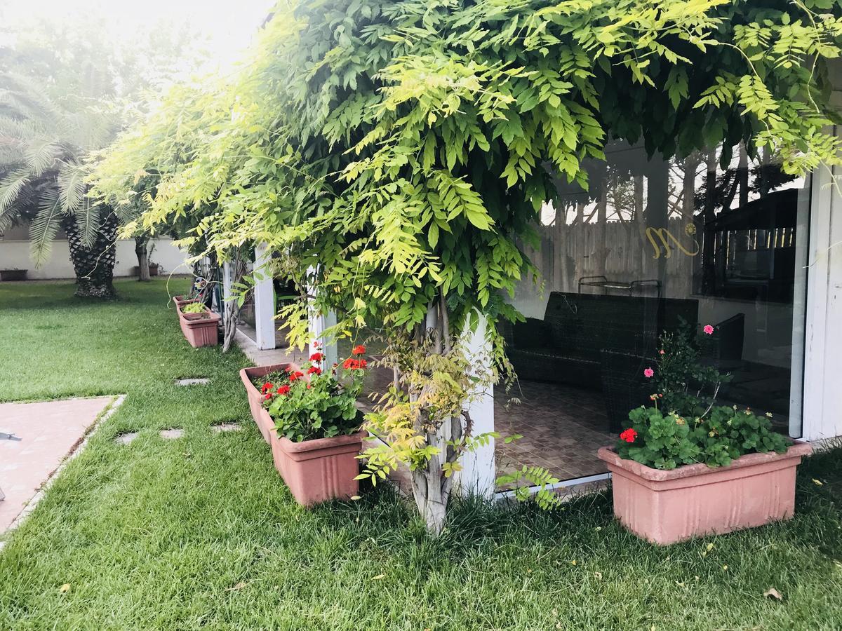 Отель Masseria Nel Sole Лучера Экстерьер фото