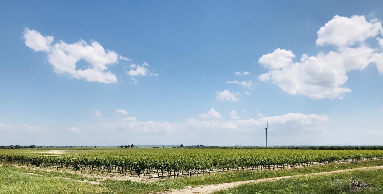Отель Masseria Nel Sole Лучера Экстерьер фото
